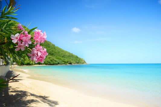 8 Gifts to Bring Back from the Caribbean this 2019 Season - Tijon