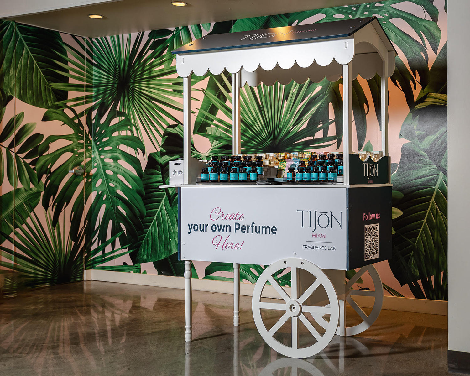 Discover Tijon Miami