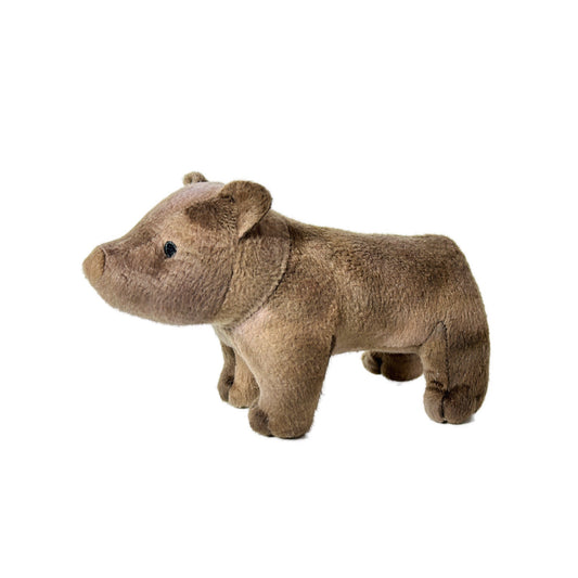 The Arawak Dog Mascot - Tijon
